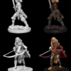 Wizkids Human Female Fighter - Pathfinder Deep Cuts Unpainted Miniatures 1 Wizkids Human Female Fighter - Pathfinder Deep Cuts Unpainted Miniatures -WINNING MOVES Shop 72597 humanfemalefighter
