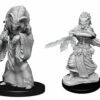 Night Hag & Dusk Hag - D&D Nolzurs Marvelous Unpainted Miniatures -WINNING MOVES Shop 90239 Hags 25592.1607021847