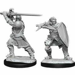 Human Male Paladin - D&D Nolzurs Marvelous Unpainted Minis