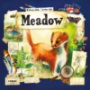Meadow 1 Meadow -WINNING MOVES Shop Meadow NEW