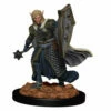 Wizkids Elf Male Cleric - D&D Premium Painted Figures Minis 2 Wizkids Elf Male Cleric - D&D Premium Painted Figures Minis -WINNING MOVES Shop elf male cleric premium d d nolzurs marvelous unpainted minis