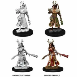 Wizkids Human Female Druid - Nolzurs Marvelous Unpainted Miniatures