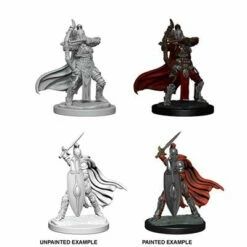 Wizkids Female Knights Gray Maidens - Pathfinder Deep Cuts Unpainted Miniatures
