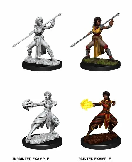 Wizkids Half-Elf Female Monk - Nolzurs Marvelous Unpainted Miniatures 3 Wizkids Half-Elf Female Monk - Nolzurs Marvelous Unpainted Miniatures