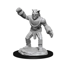 Wizkids Stone Golem - D&D Nolzurs Marvelous Unpainted Minis NEW