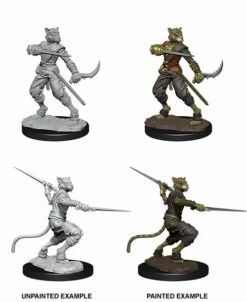 Wizkids Tabaxi Male Rogue - D&D Nolzurs Marvelous Unpainted Miniatures - Wave 7