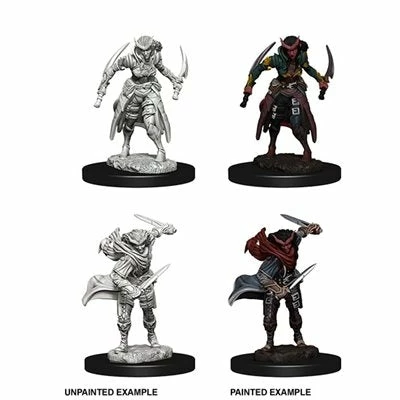 Wizkids Tiefling Female Rogue - D&D Nolzurs Marvelous Unpainted Minis 3 Wizkids Tiefling Female Rogue - D&D Nolzurs Marvelous Unpainted Minis